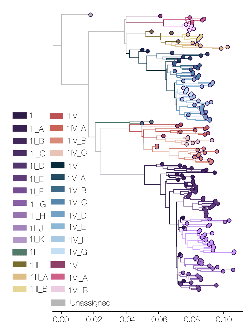 Dengue virus 1 phylogenetic tree