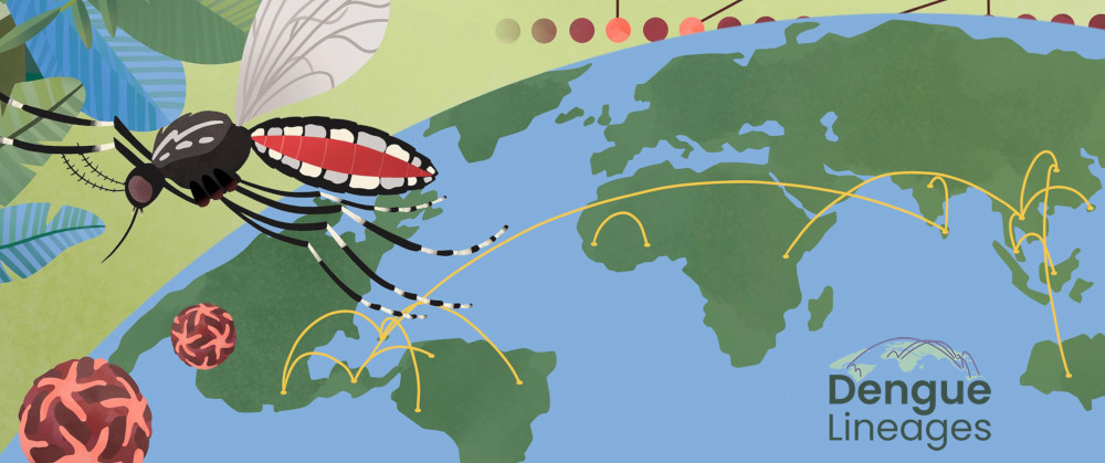 Dengue virus illustration