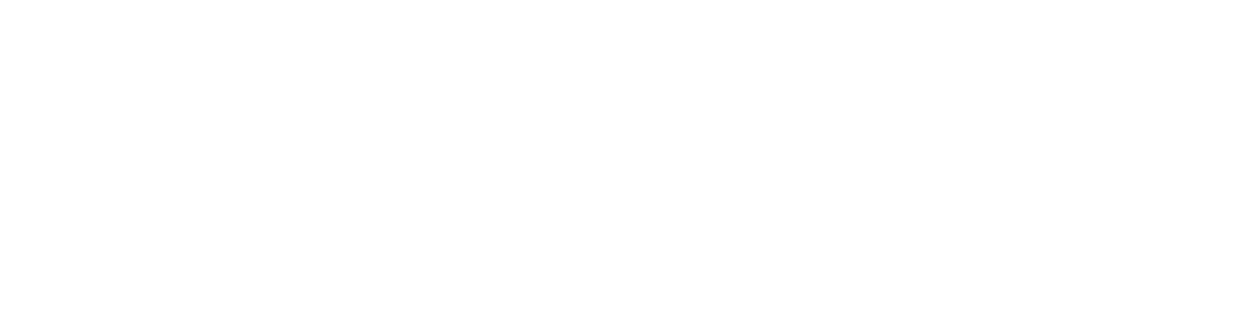 Genome Detective Logo