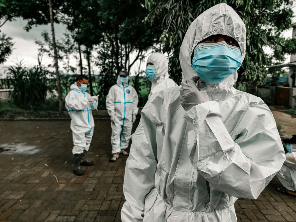Illustration for the Ebola and Hantavirus article