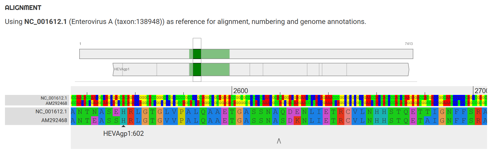 Alignment chart generated by Genome Detective