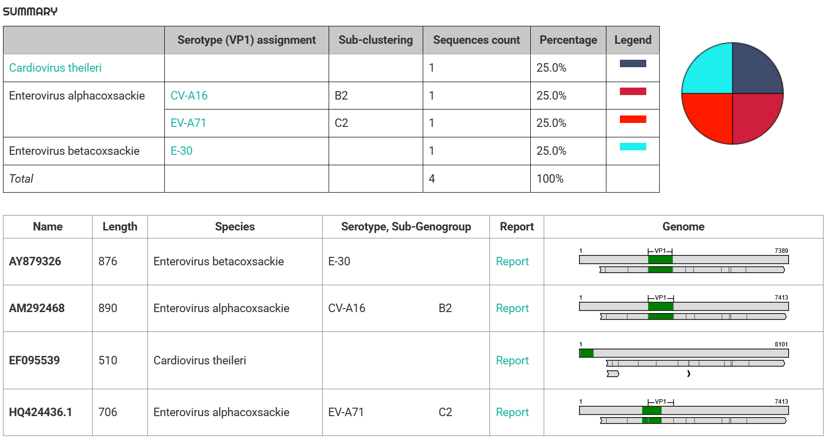 Enterovirus genotyping output summary table from Genome Detective